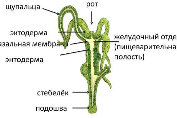 Кракен маркет что это