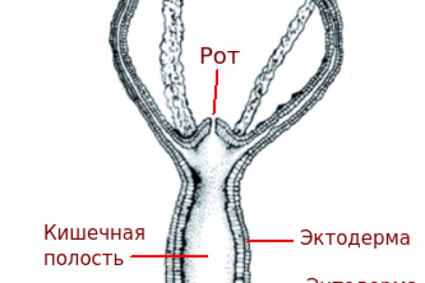 Кракен krakens13 at