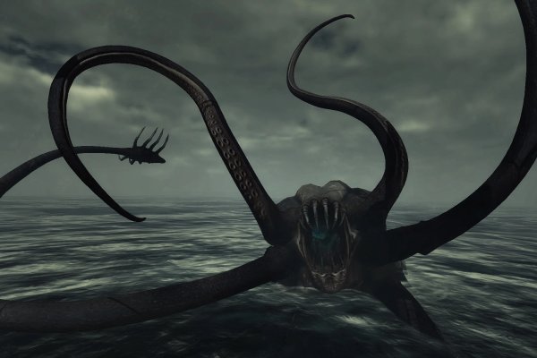 Kraken kraken link24 info