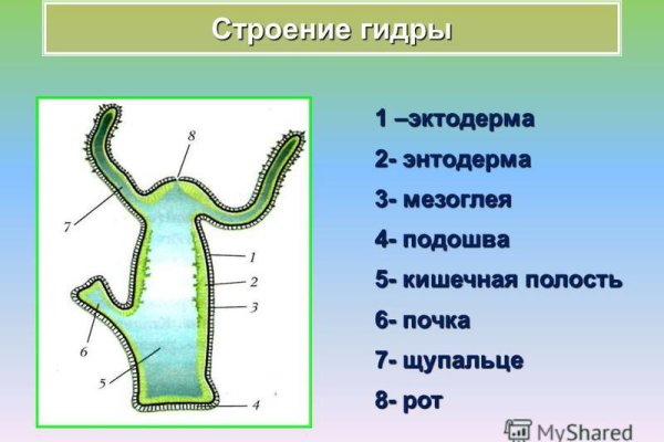 Кракен ссылка зеркало